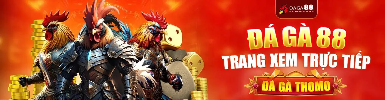 Đấu trường đá gà trực tiếp F888